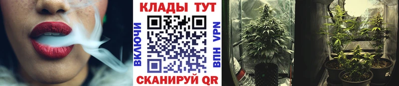 Купить наркоту Кореновск МАРИХУАНА Мефедрон Псилоцибиновые грибы ГАШ APVP
