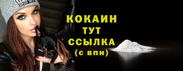 гидропоника Богданович